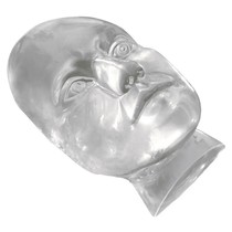 Face Transparente para Treinamento Harmonização Orofacial - Mac Dental