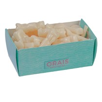 Jogo de Dentes Dentística Padrão - Orais