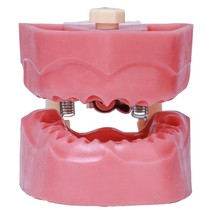 Manequim de Endodontia - Orais