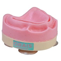 Modelo para Treinamento de Sutura M.CIR-402 - Orais