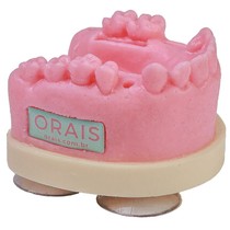 Modelo para Treinamento de Sutura M.CIR-401 - Orais
