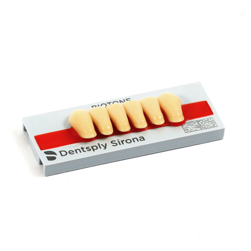 Dente Biotone Anterior/Inferior 3N 67 - Dentsply Sirona