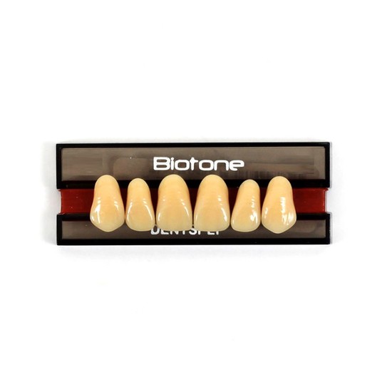 Dente Biotone Anterior/Superior 3 M 69 - Dentsply Sirona