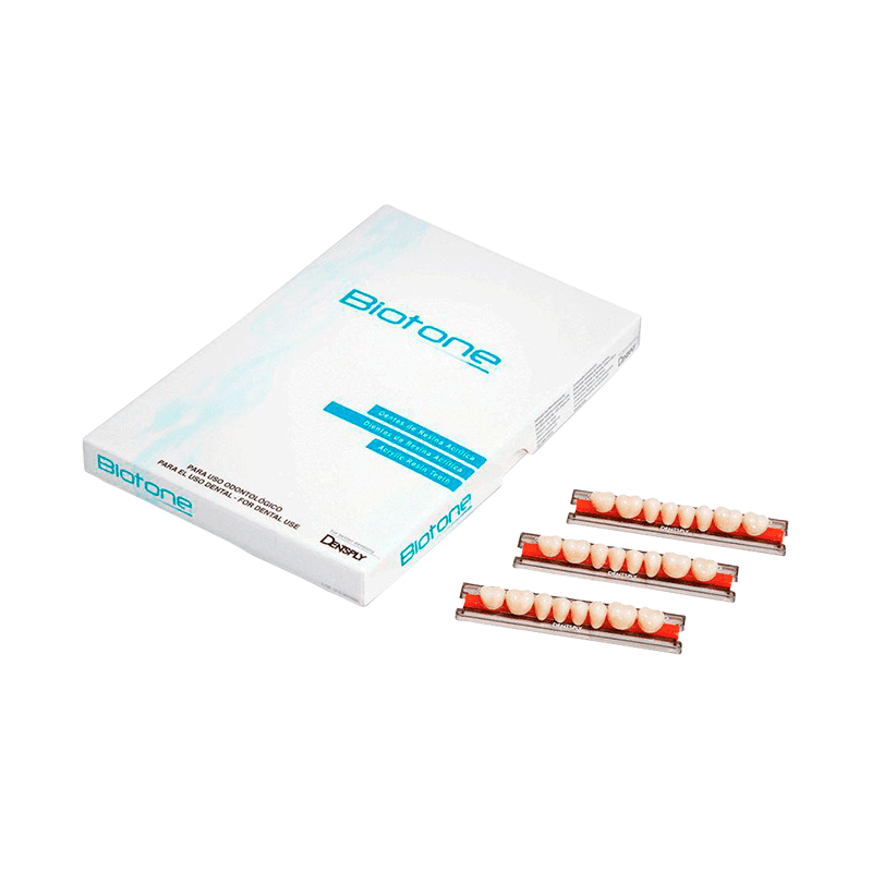 Clique na imagem para ampliar Dente Biotone Posterior/Inferior