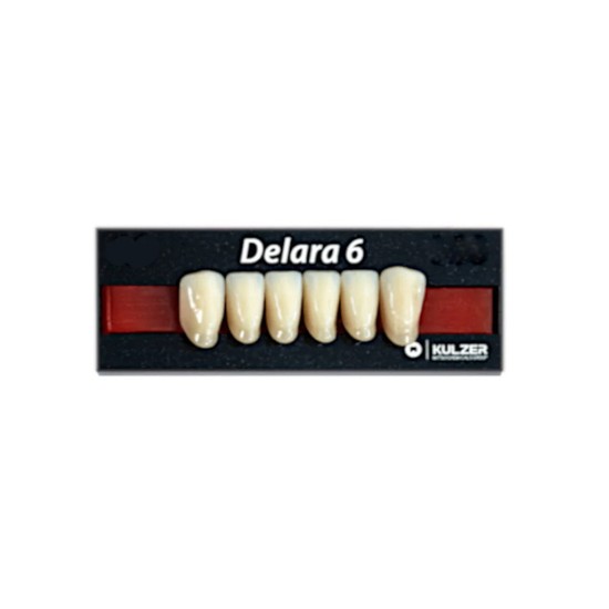 Dente Delara Anterior Inferior A1 L36 6unid - Kulzer