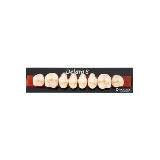 Dente Delara Posterior Superior A2 36U 8unid - Kulzer