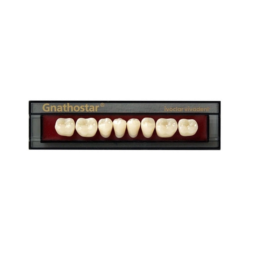 Dente Gnathostar A-D ID84 BL1 Inf Post 8Unid. - Ivoclar