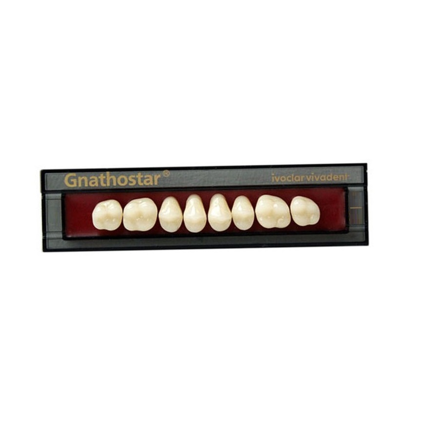 Dente Gnathostar A-D SD88 BL4 Sup Post 8Unid. - Ivoclar