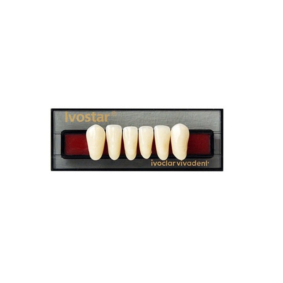 Dente Ivostar A-D I14 A3 Inf Ant 6Un - Ivoclar