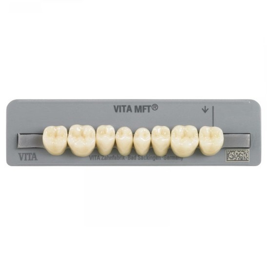 Dente Mft Posterior Inferior Pl31 C3 8Unid. - Vita