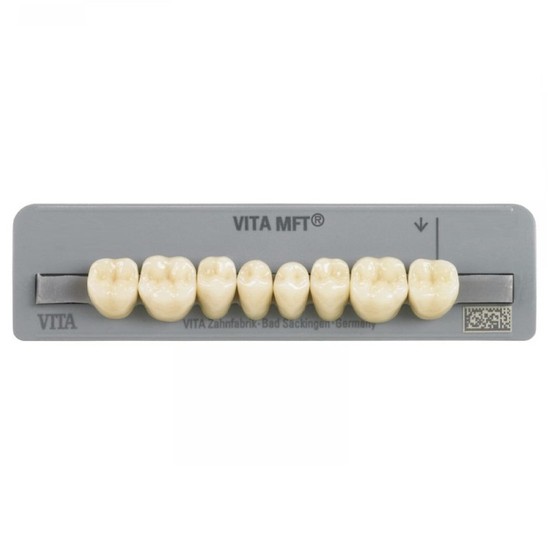 Dente Mft Posterior Inferior Pl33 C3 8Unid. - Vita
