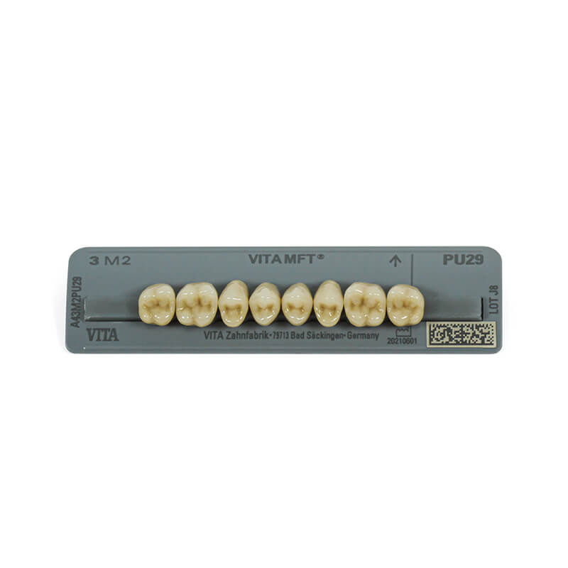 Dente Mft Posterior Superior Pu29 C3 8Unid. - Vita