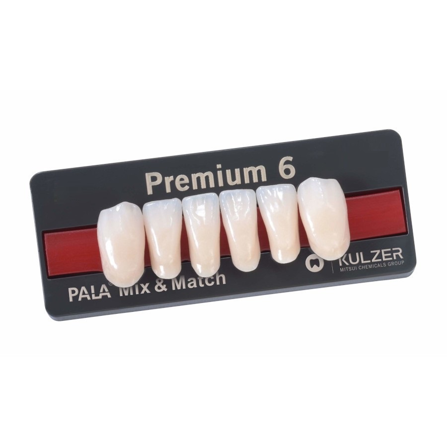 Dente Premium L14 B1 Inferior Anterior - Kulzer