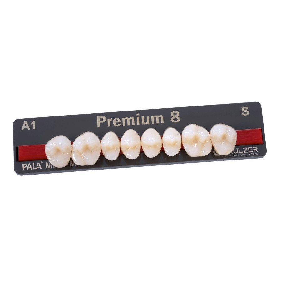Dente Premium Posterior Inferior Bl2 Sl 8Unid. - Kulzer