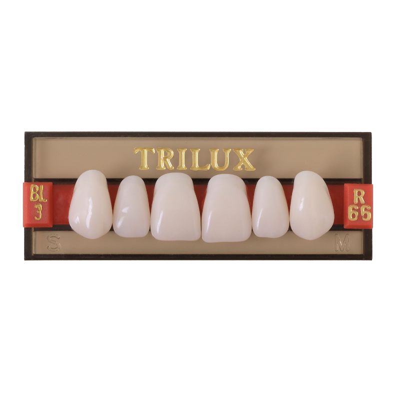 Dente Trilux N Anterior Superior E2S Bl3 6Unid. - Vipi