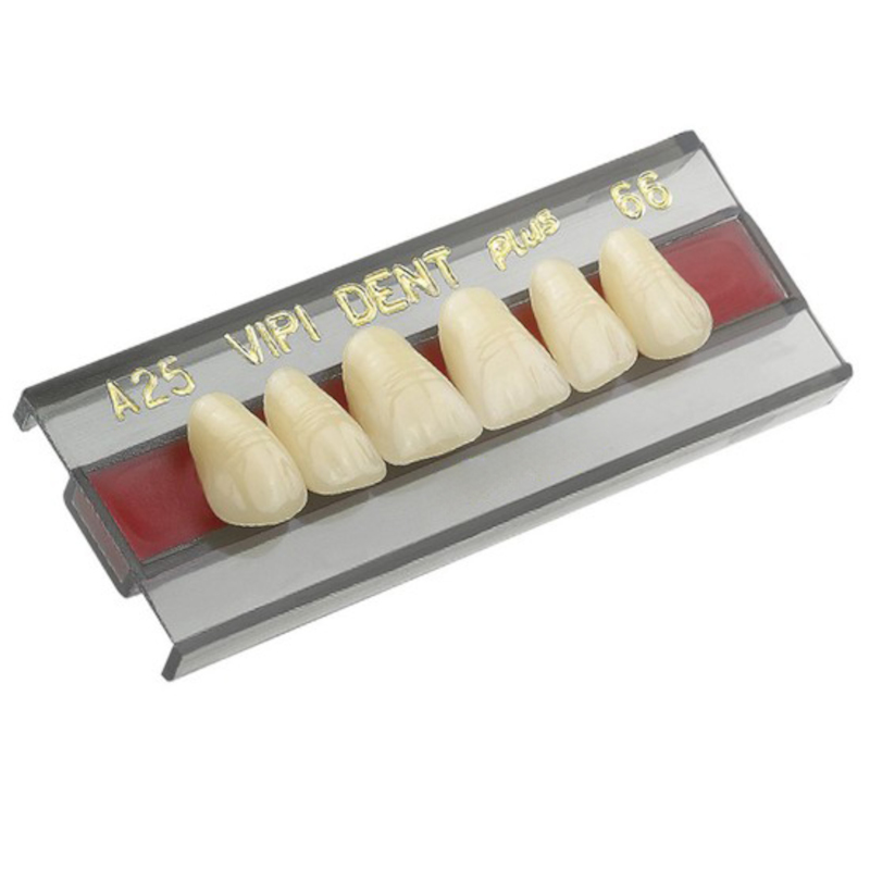 Dente Vipi Dent Anterior/Inferior A25 Cor 66 - VIPI