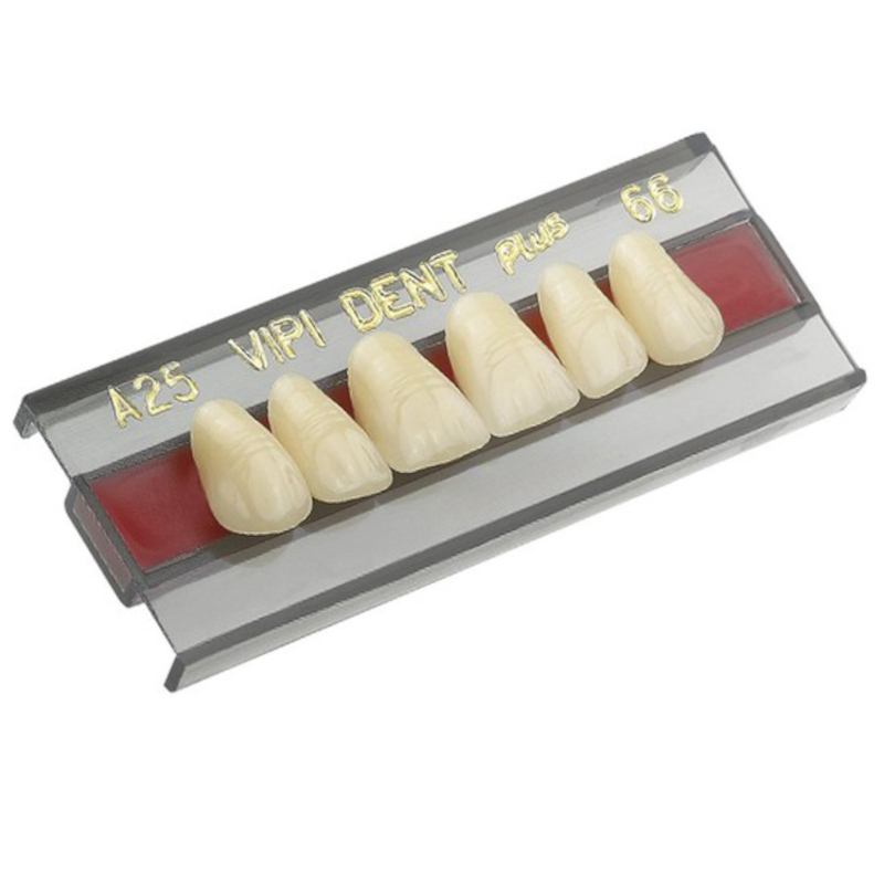 Dente Vipi Dent Anterior/Superior 2D Cor 62 - VIPI