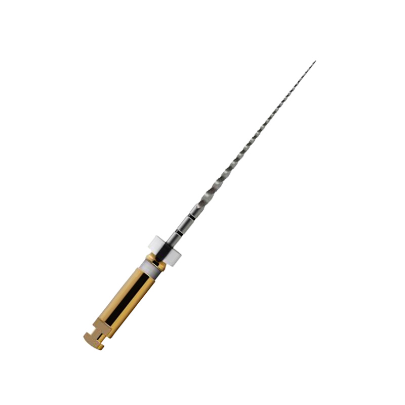 Lima Rotatória Pro Glider 31 mm 3unid. - Dentsply Sirona