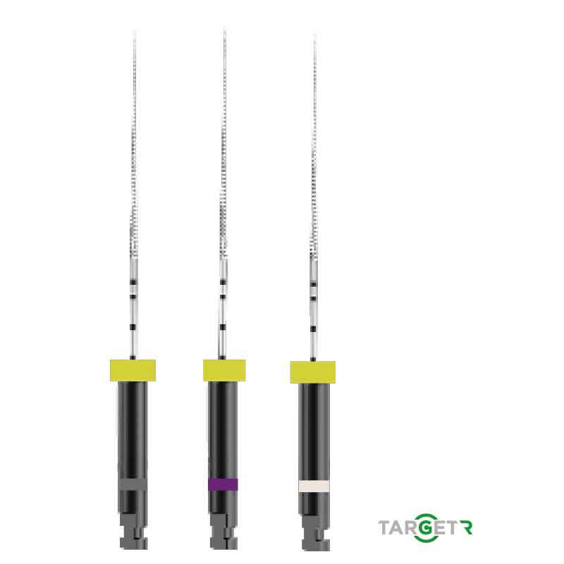 Lima Reciprocante Target R 10 21 mm 6Unid. - Easy