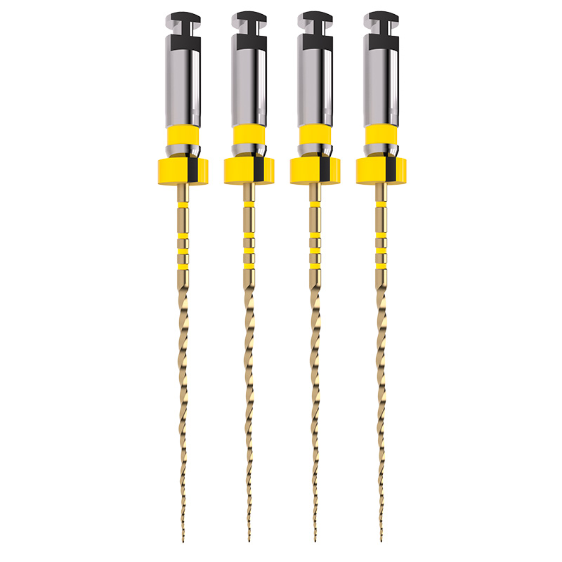 Lima Rotatória TruNatomy Small Maillefer - Dentsply Sirona