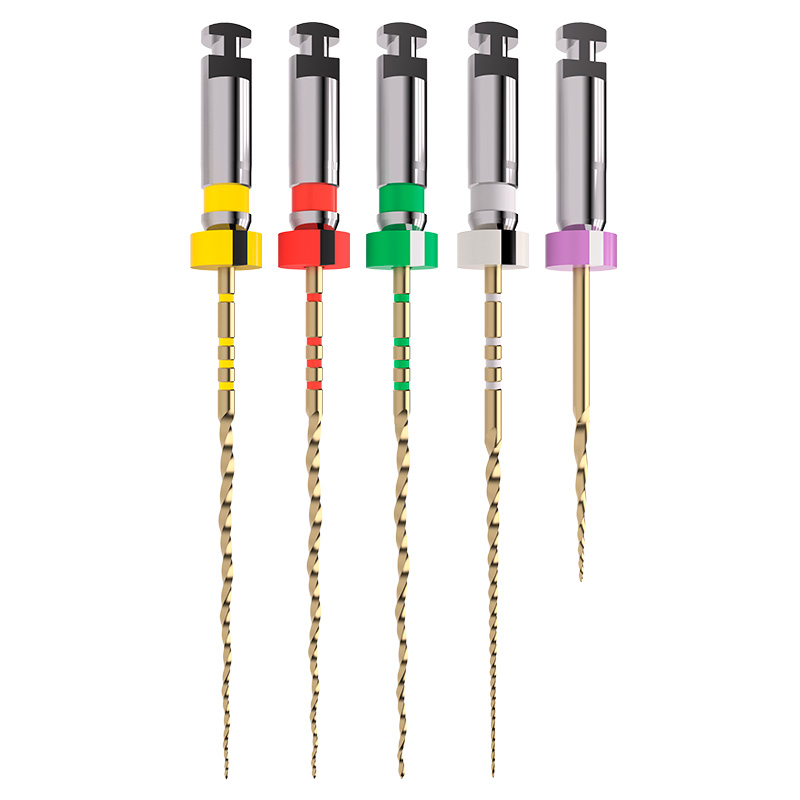Lima RotatóriaTruNatomy Sortida Maillefer - Dentsply Sirona