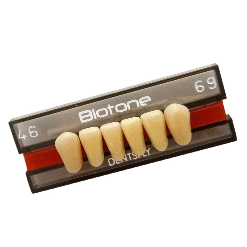 Dente Biotone Anterior Superior - Dentsply Sirona